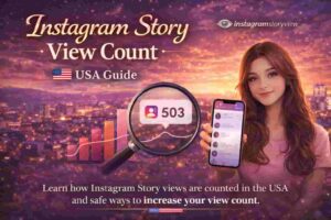 Instagram Story View Count