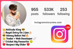 instagram bio for boys 6 Short Instagram Bio For Boys 1