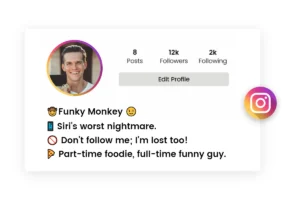 bio for insta 6 funny instagram bio for boys