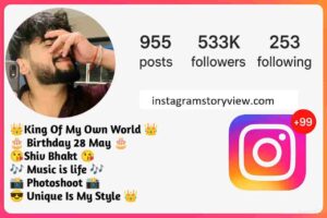 instagram bio for boys 4 instagramstoryview.comsdfs 1