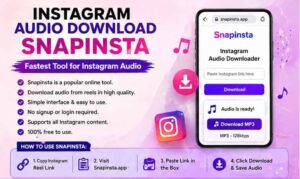 instagram audio download snapinsta