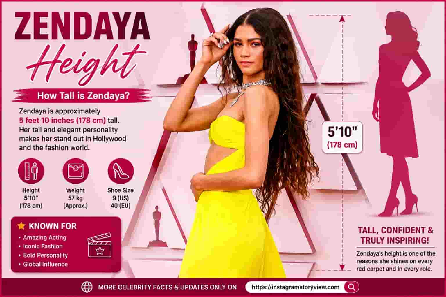 Read more about the article BATHING SUIT ZENDAYA INSTAGRAM FOLLOWERS PHOTOS COUNT