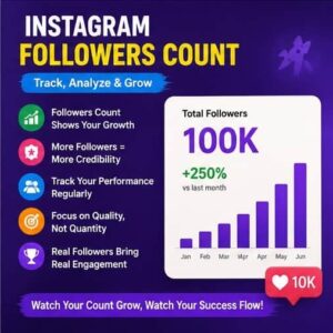 Instagram Followers Count