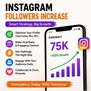 Instagram Followers Increase