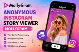 Instagram Story Viewer Mollygram 2 Anonymous Instagram Story Viewer Mollygram