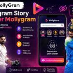 Instagram Story Viewer Mollygram