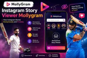 Instagram Story Viewer Mollygram 6 Instagram Story Viewer Mollygram