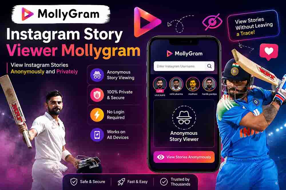 Instagram Story Viewer Mollygram 1 Instagram Story Viewer Mollygram