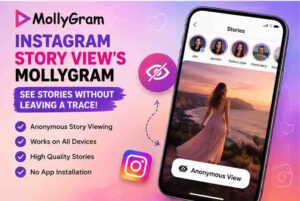 Instagram Story Viewer Mollygram 4 Instagram Story View's Mollygram