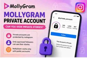 Instagram Story Viewer Mollygram 3 Mollygram Private Account