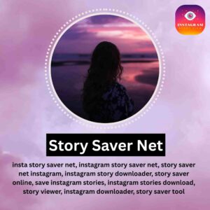 Read more about the article Story Saver Net
