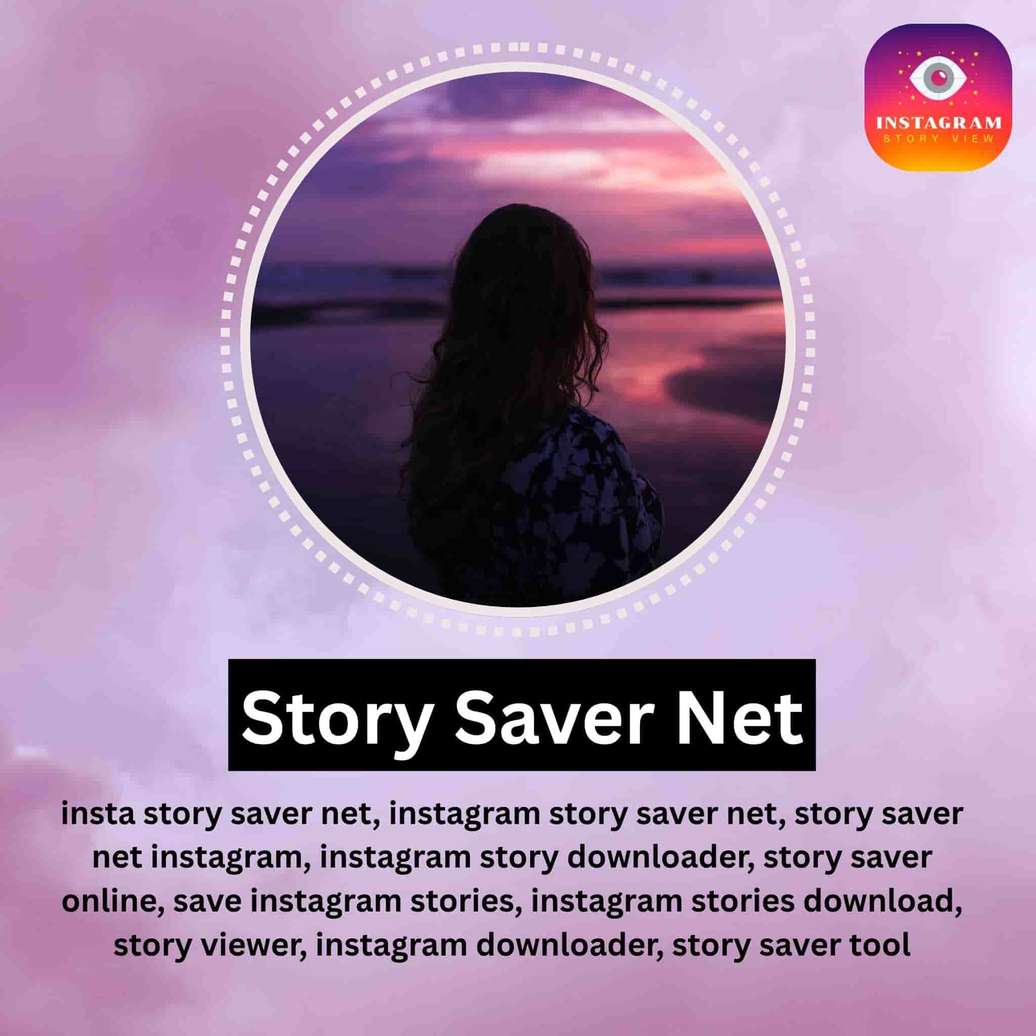 Story Saver Net