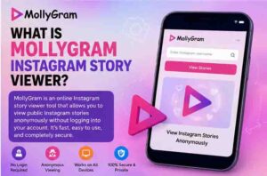 Instagram Story Viewer Mollygram 5 What is Mollygram Instagram Story Viewer