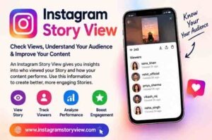 Instagram Story View