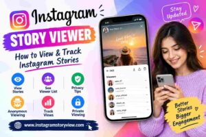Instagram Story Viewer
